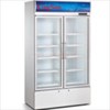 tu mat 2 canh mo kingsun lgf-860 hinh 1